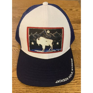 ART 4 ALL Abby Paffrath Trucker Hat Snapback Cap Buffalo Jackson Hole Baseball